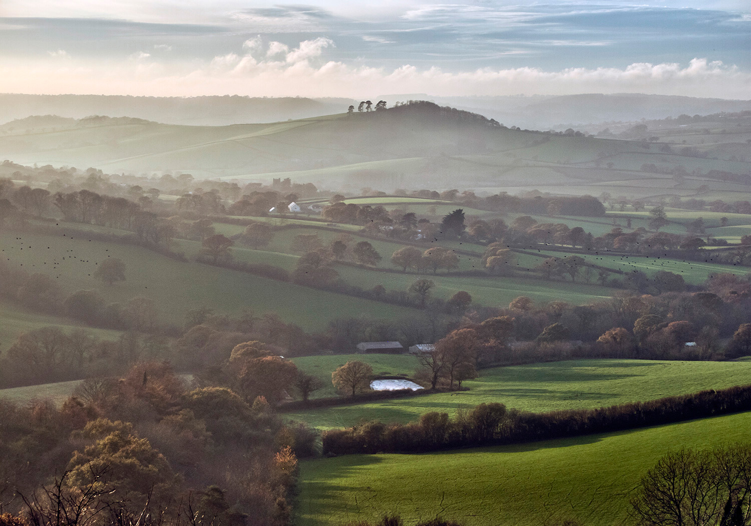 Over Marshwood Vale