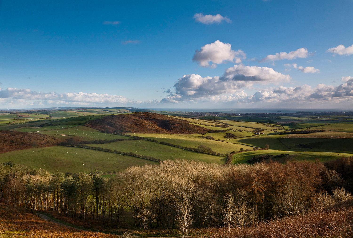 View from Hardy Monument