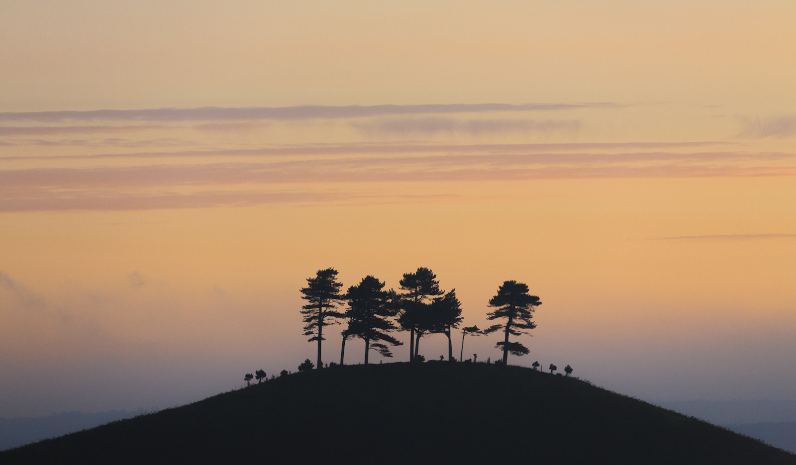 Colmer Hill