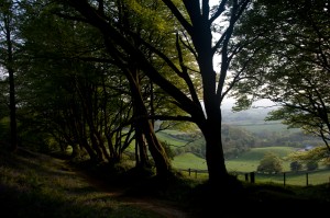 HDR example 2