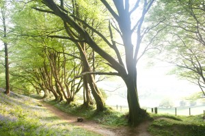 HDR example 3
