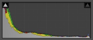 Histogram 2