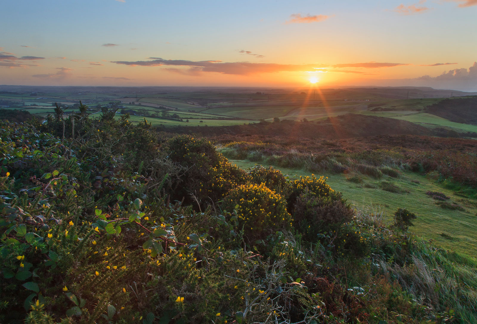 View from Hardy’s Monument