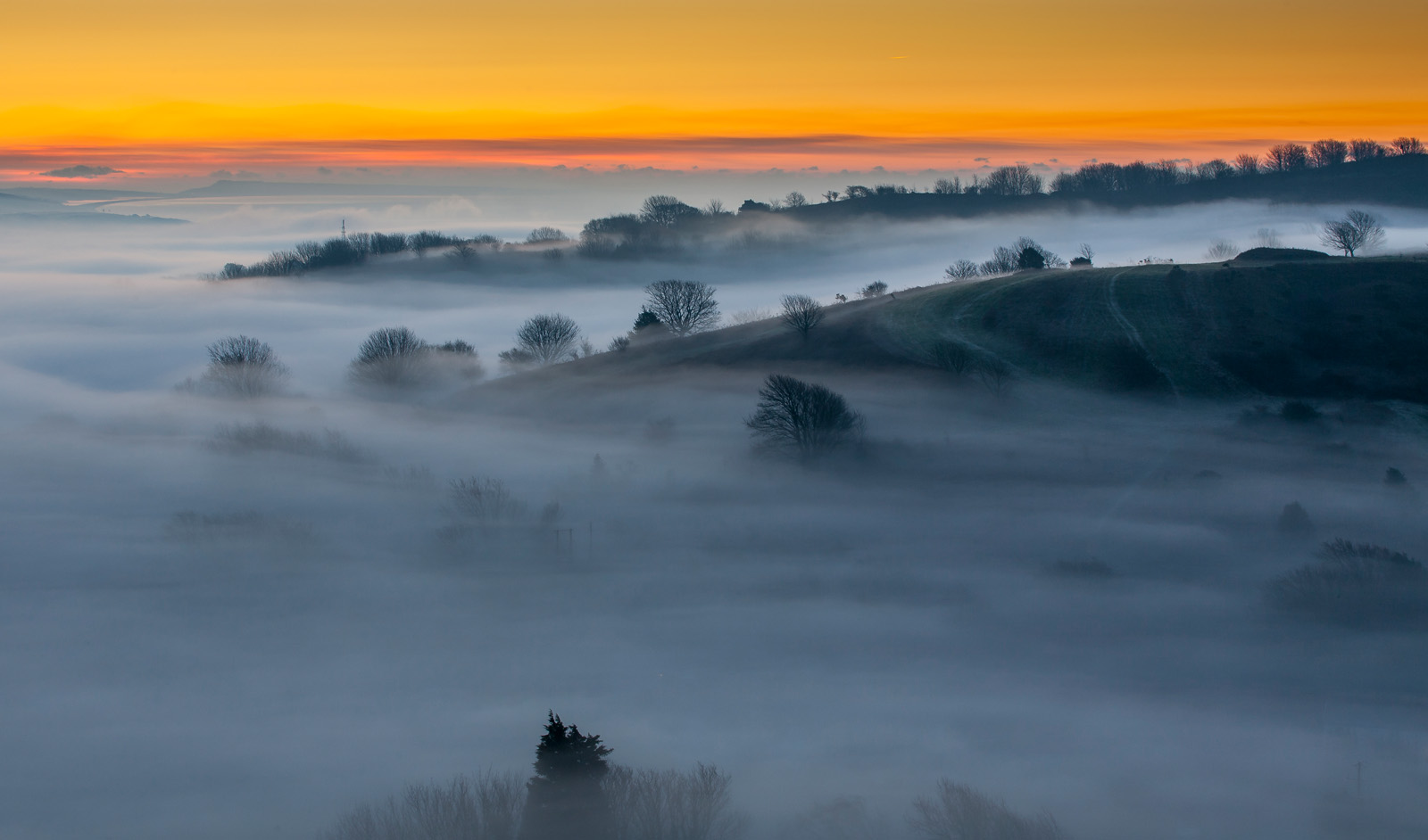 Early Morning Mist