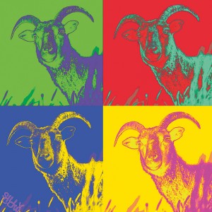 Silly Goat multi ver 1